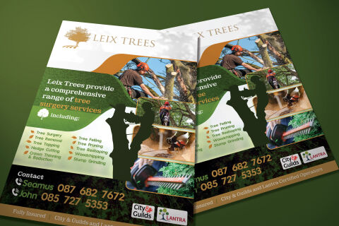 Leix Trees - Tree Surgery Services Flyer Design